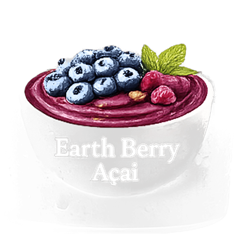 Earth Berry Açaí 320 g