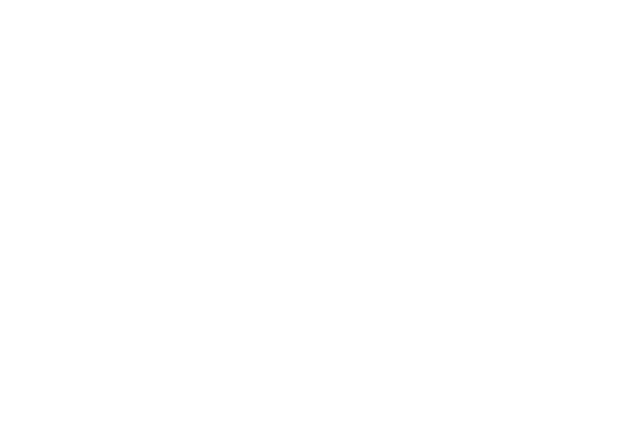 Lufi Surf School